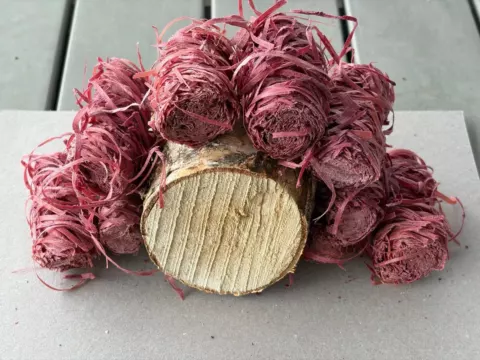 Rote Anzünder aus Holzwolle rund um eine Holzscheibe