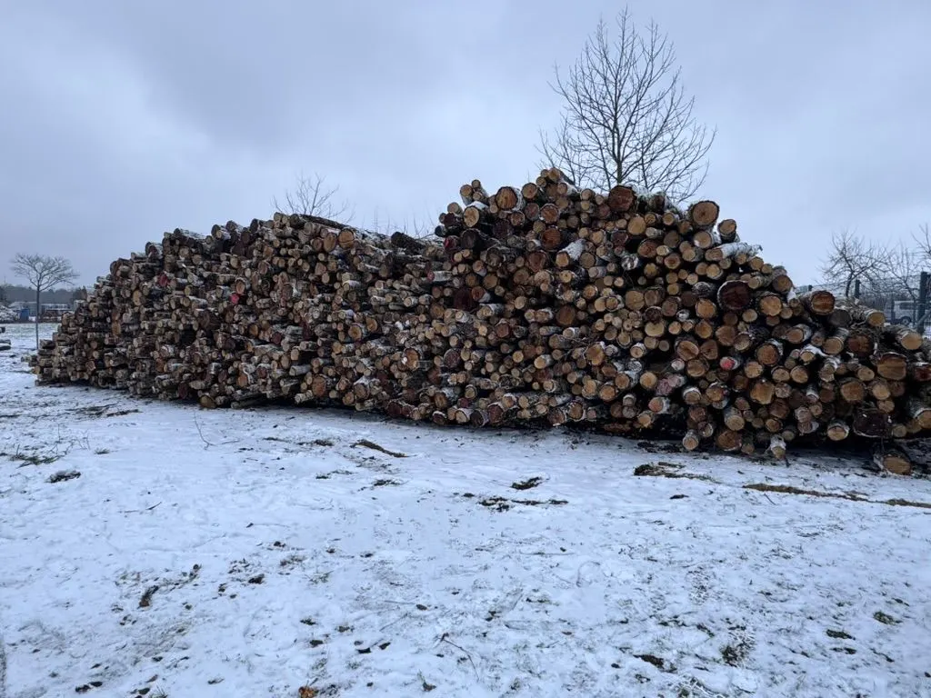 Großer Holzpolter auf einer verschneiten Wiese