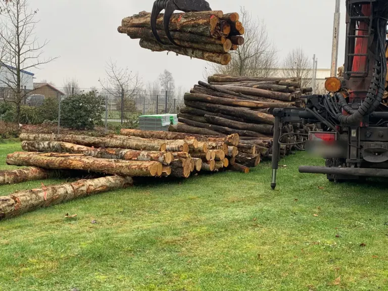 Der Kran hebt ein Bündel drei Meter langer Stämme vom Lastwagen